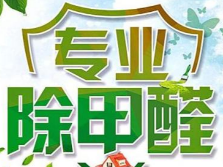 专业除甲醛