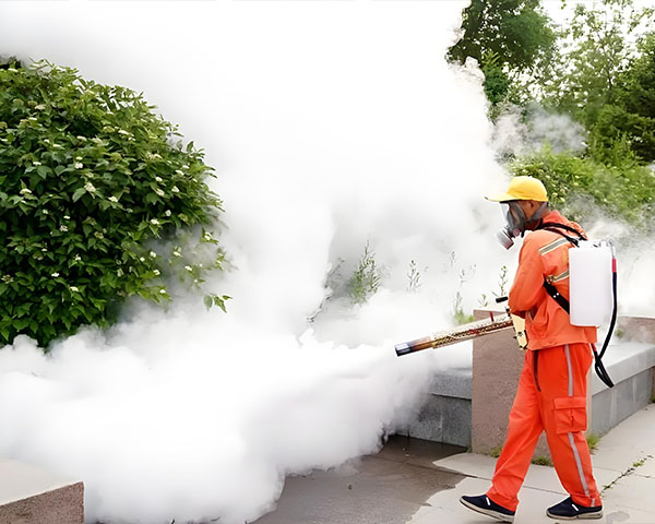 除虫灭鼠武汉