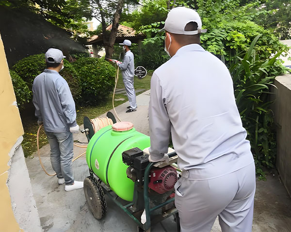 荆州武汉灭鼠公司