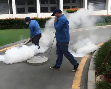 灭鼠公司上门服务武汉