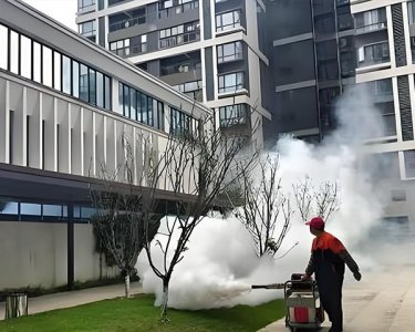 城市猎人武汉灭鼠