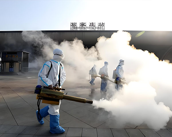 上海消灭蟑螂公司排名