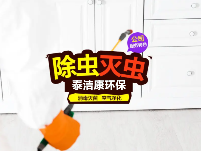 杀虫灭鼠除四害多少钱一个平方