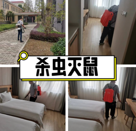 杀虫灭鼠除四害多少钱一次