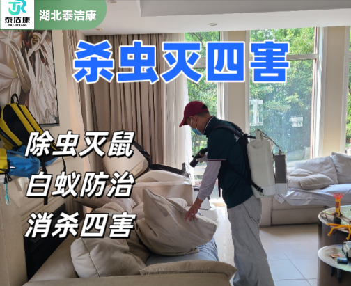 杀虫灭鼠除四害多少钱合适