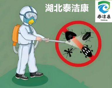 杀虫灭鼠除四害是什么