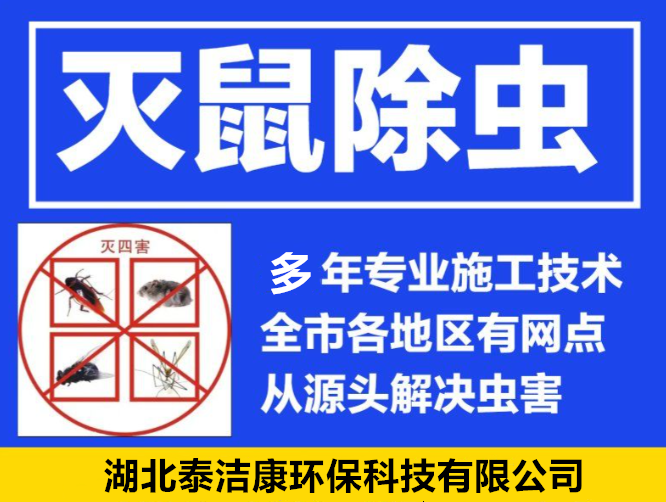 专业杀虫灭鼠除四害：本地高效服务电话，让您家居环境焕然一新