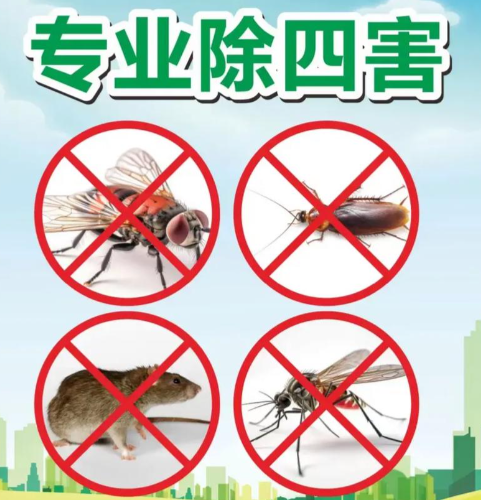 全方位攻略：杀虫灭鼠除四害消杀，让家居环境焕然一新