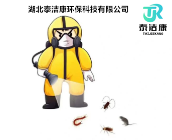 全方位杀虫灭鼠除四害消杀方案：打造清洁家园，共创健康生活