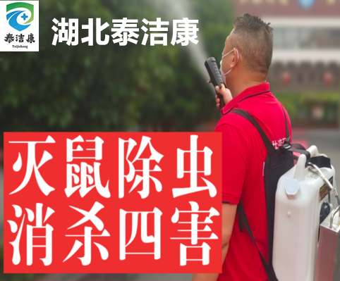 全面解析杀虫灭鼠除四害服务费用：价格、效果与选择指南