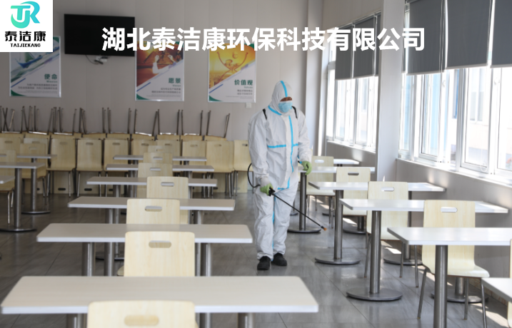 食堂卫生守护者：定期开展鼠虫害消杀记录全揭秘