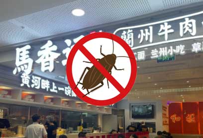 餐饮店蟑螂防治方法全攻略：从根源杜绝“小强”侵扰，守护舌尖安全